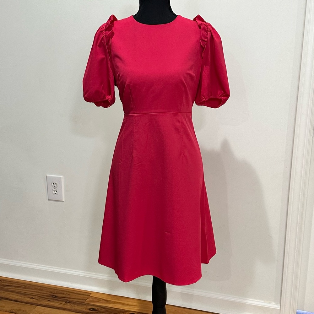 Lark & Ro Vibrant Fuchsia Pink Midi Dress
